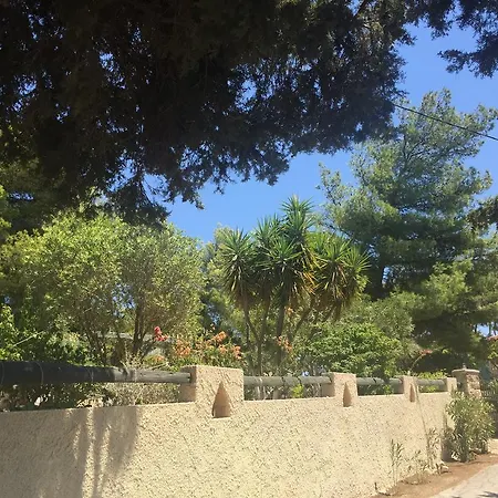 Castle Vigla Λακκί