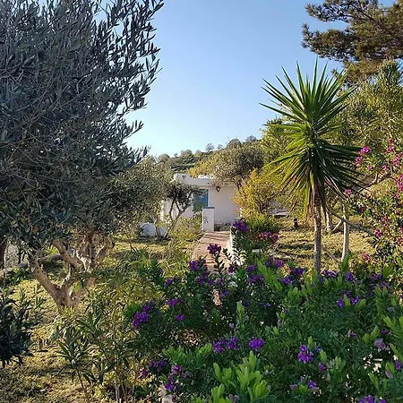Διαμέρισμα Castle Vigla