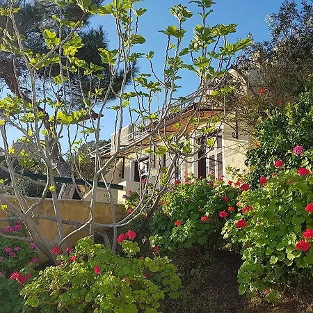 Castle Vigla * Λακκί