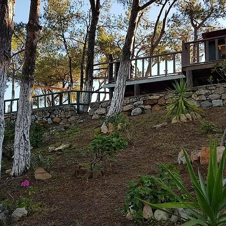 Castle Vigla Διαμέρισμα *