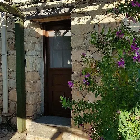 Διαμέρισμα Castle Vigla Λακκί