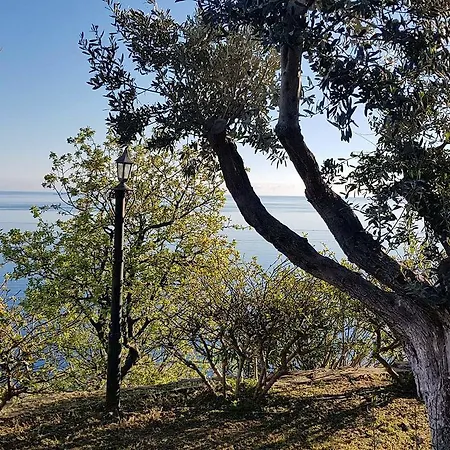 Castle Vigla Διαμέρισμα *
